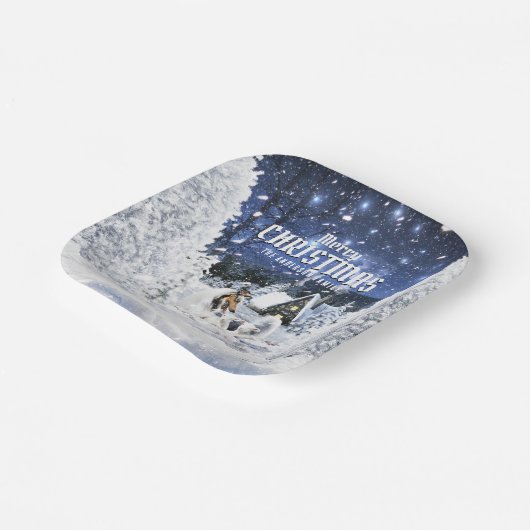 Assiettes En Carton Christmas Winter Fairy Tale, Blue Merle Collie - (Angulaire)