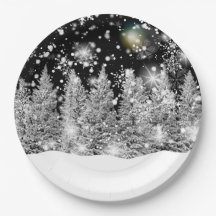 Chute de neige au solstice d'hiver