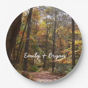 Assiettes En Carton Chute Sunlit dans le parc national de Laurel Hill