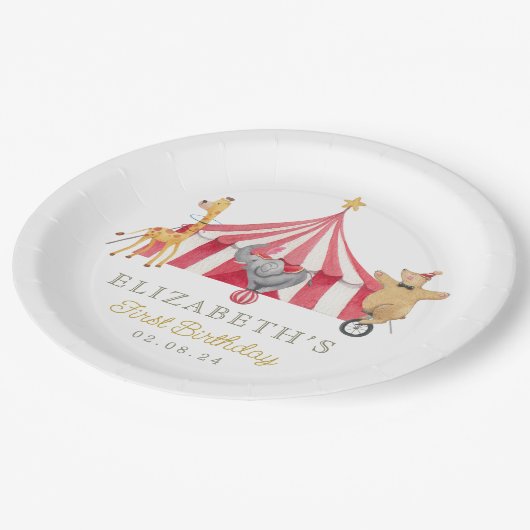 Assiettes En Carton Cirque Aquarelle Anniversaire animaux mignons (Angle)