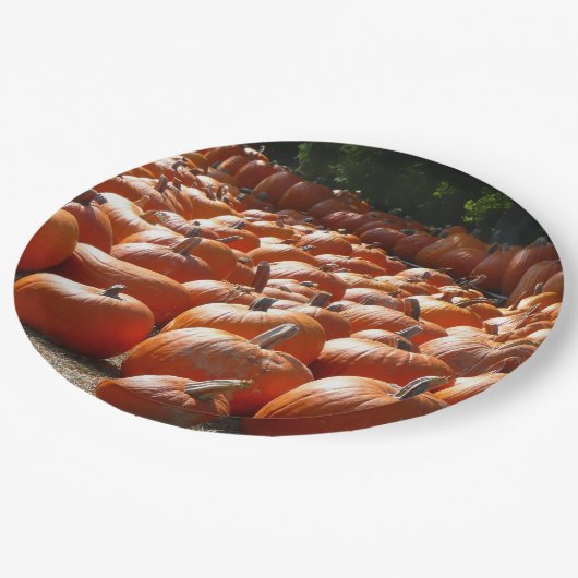 Assiettes En Carton Citrouille Patch Automne Harvest Photographie (Angle)