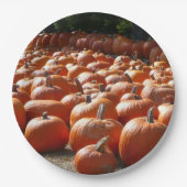 Assiettes En Carton Citrouille Patch Automne Harvest Photographie (Devant)