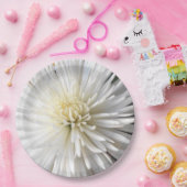 Assiettes En Carton Claricia (Fête)