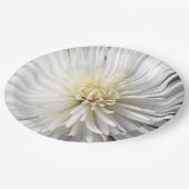 Assiettes En Carton Claricia (Angle)