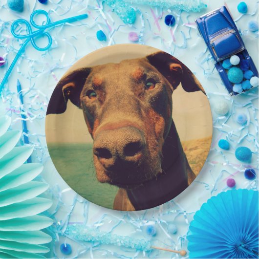 Assiettes En Carton Closeudo drôle d'un chien Doberman naturel (Fête)