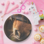 Assiettes En Carton Closeudo d'un mignon cheval Brown nez (Fête)