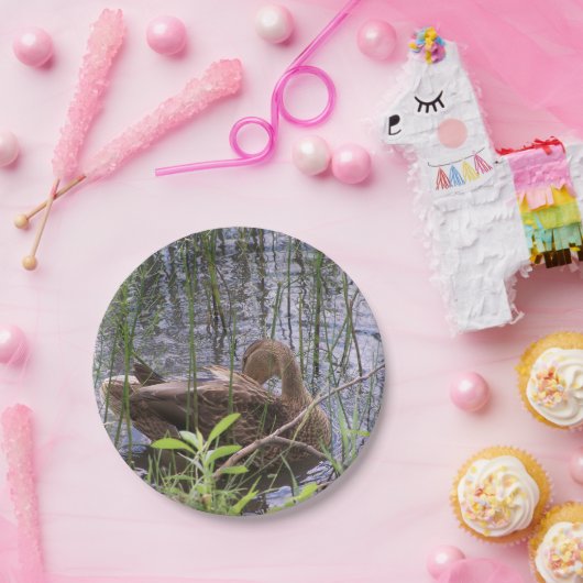 Assiettes En Carton Closeup photo of a duck (Fête)