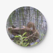 Assiettes En Carton Closeup photo of a duck (Devant)