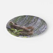 Assiettes En Carton Closeup photo of a duck (Angle)