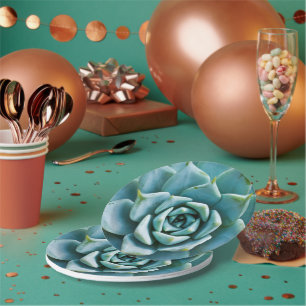 Assiettes En Carton Closeup Succulent