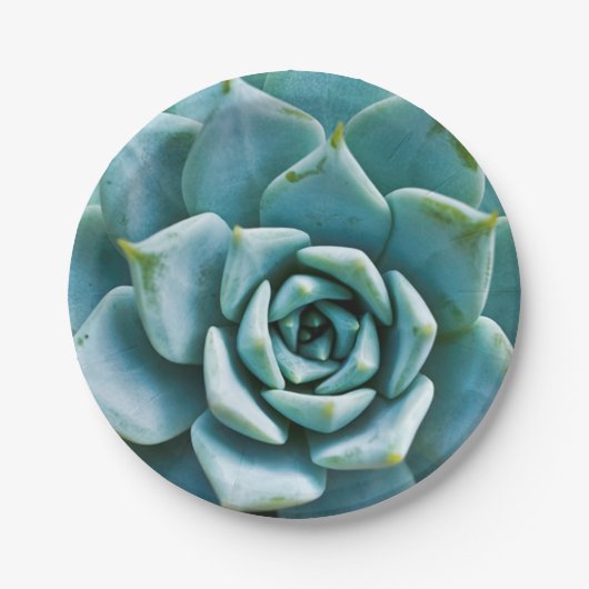 Assiettes En Carton Closeup Succulent (Devant)