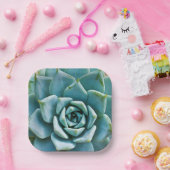 Assiettes En Carton Closeup Succulent (Fête)