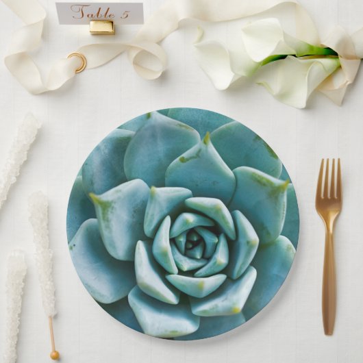 Assiettes En Carton Closeup Succulent (Mariage)