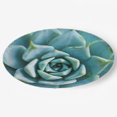 Assiettes En Carton Closeup Succulent (Angle)