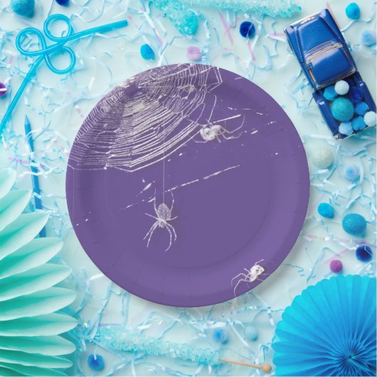 Assiettes En Carton Cobwebs et araignées blanches (Fête)
