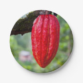 Assiettes En Carton cocod (Devant)