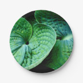 Assiettes En Carton Cœur d'Hosta (Devant)
