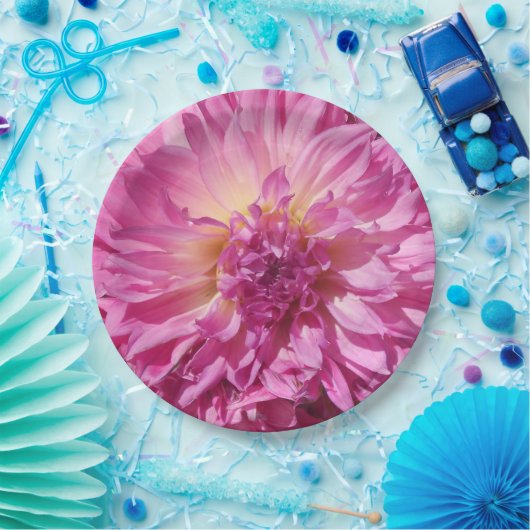 Assiettes En Carton Cogniet (Fête)