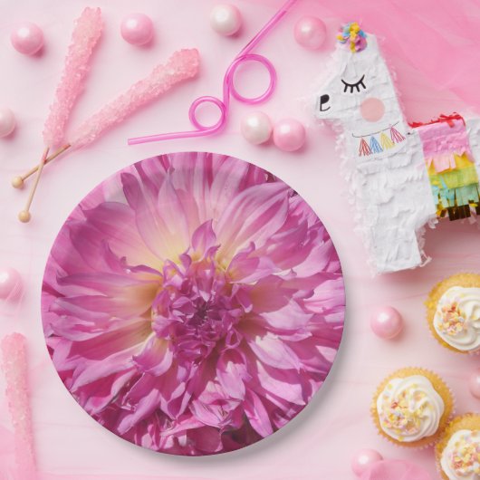 Assiettes En Carton Cogniet (Fête)