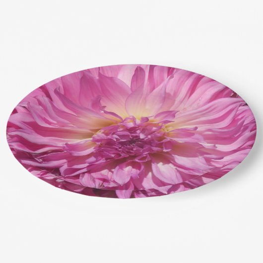 Assiettes En Carton Cogniet (Angle)