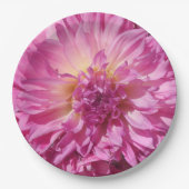 Assiettes En Carton Cogniet (Devant)