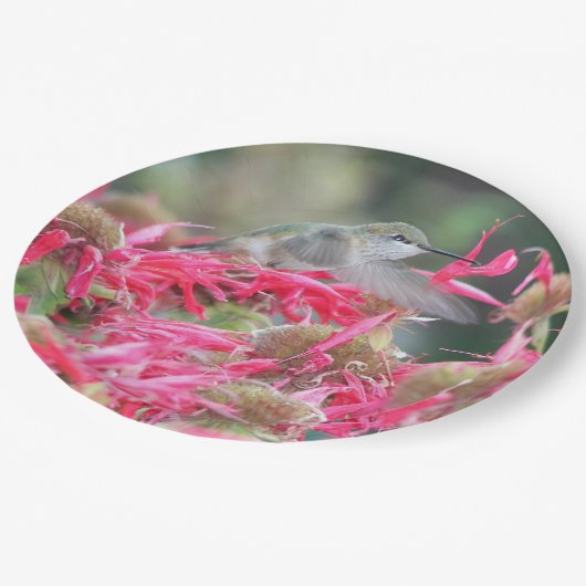 Assiettes En Carton Colibri et fleurs roses (Angle)