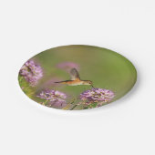 Assiettes En Carton Colibri et fleurs sauvages (Angle)