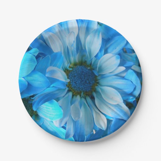 Assiettes En Carton Collaert (Devant)