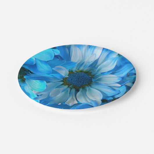 Assiettes En Carton Collaert (Angle)