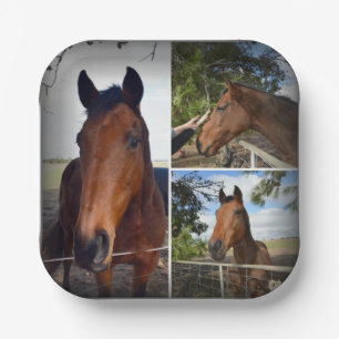 Assiettes En Carton Collage photo de cheval Brown, Plaques en papier