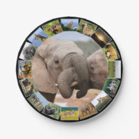 Collecte de photos de la faune africaine Trunks d'