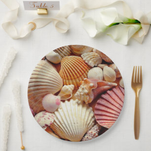 Assiettes En Carton Collection de coquillages, de coquillages, de coqu