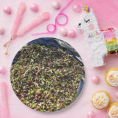 Assiettes En Carton Collection Olive (Fête)