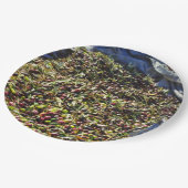 Assiettes En Carton Collection Olive (Angle)