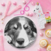 ASSIETTES EN CARTON COLLIE FRONTALIÈRE (Fête)