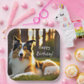 Assiettes En Carton Collie Joyeux anniversaire (Fête)