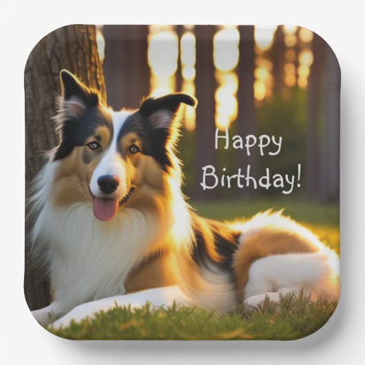 Assiettes En Carton Collie Joyeux anniversaire (Recto)