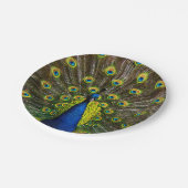 Assiettes En Carton Colorful peacock (Angle)
