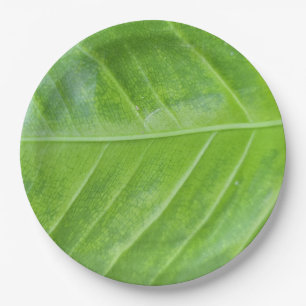 Assiettes En Carton Conception de feuilles vertes envoûtante ronde de