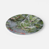 Assiettes En Carton conception de houx couverte par gel et de Noël de (Angle)