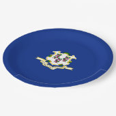 Assiettes En Carton Conception de l'indicateur d'état Connecticut (Angle)