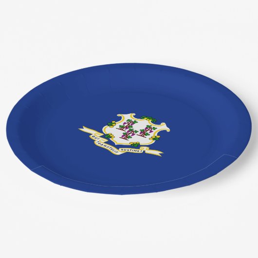 Assiettes En Carton Conception de l'indicateur d'état Connecticut (Angle)