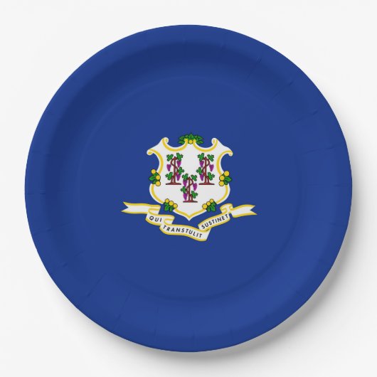 Assiettes En Carton Conception de l'indicateur d'état Connecticut (Devant)