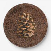 Assiettes En Carton Cône De Pin Sur Aiguilles Tombées (Devant)