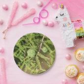 Assiettes En Carton Cône de semences Bald Cypress (Fête)