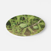 Assiettes En Carton Cône de semences Bald Cypress (Angle)