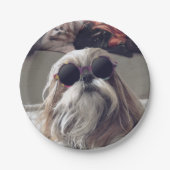 Assiettes En Carton Cool Shih Tzu cheveux longs Lunettes de soleil vin (Devant)