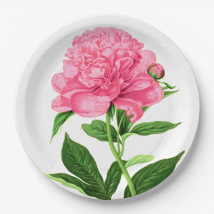 Assiettes En Carton Copie botanique vintage, pivoine de rose en pastel
