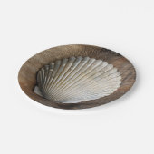 Assiettes En Carton Coquillage - Plaque papier (Angle)