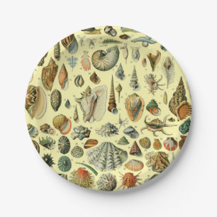 Assiettes En Carton Coquillages de coquillages Mollusk Clam Élégant Ar